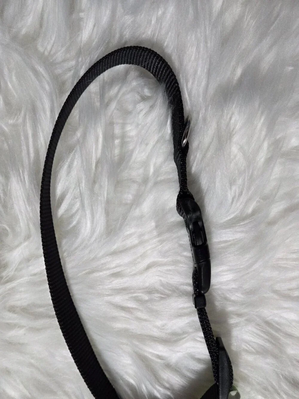 Frisco Black Dog Collar